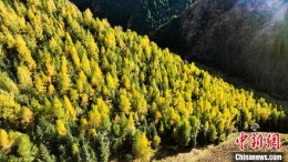 航拍新疆多浪峡谷：感受秋日绚烂之美