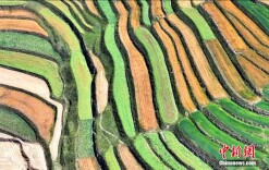 金秋时节 航拍青海互助高山梯田美如画卷