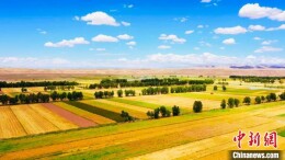 青海都兰处处“丰”景美如画