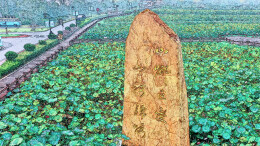 【海报】周立波《山乡巨变》金句书签