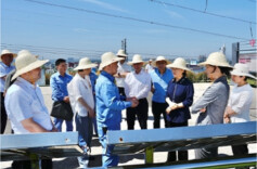 谢建辉来云溪区调研新能源产业