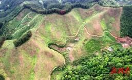 播阳镇：美美与共，激活乡村振兴“一池春水”
