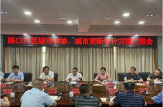 路口片区城市体检、城市更新设计方案汇报会召开