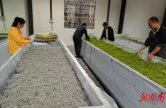 永顺县对山乡：村集体经济注入“新活力”