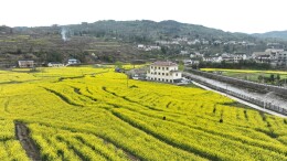 中央专项彩票公益金助力永顺农文旅融合发展