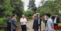 张家界市常务副市长督导中央督察典型案例整改工作