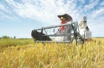 通道：为群众解忧 为农事送“春风”