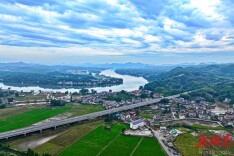 桃江大栗港镇：朱溪茶韵生态美 竹海安宁文旅盛