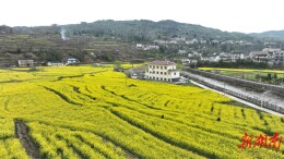 永顺县颗砂乡：彩票公益金助发展，谱写乡村振兴新篇章