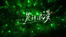 《桃花江竹海幻境》剧场获中国空间设计大赛银奖