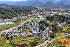 龙山尖岩村：党建引领风帆劲 崇文乡村百业兴