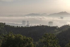五岳唯南岳衡山产茶——中国茶绕不过的一座山