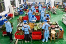 老手艺做成大产业 浏阳“粽子村”里粽飘香