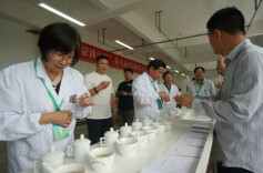 永巨黄芽荣获中国黄茶斗茶大赛黄小茶组金奖