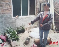 江华：采挖野生兰花石斛 周某被采取强制措施