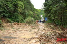 暴雨突袭！多部门联动火速处置保障道路畅通