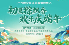 初夏粽飘香，欢乐庆端午