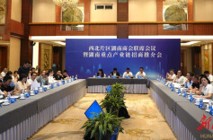 “积极参加全球湘商大会，与家乡‘双向奔赴’”