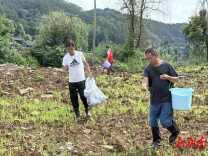 修溪镇：播撒大地“希望之种”，绽放环境“整治之花”