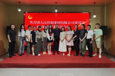 新青年、新团队、新作为——大汉集团新一届团委委员会会议顺利召开