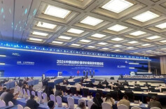 大汉集团122.47亿上榜2024中国品牌价值评价组别十强