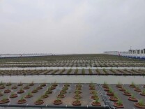 湖南省公布第二批生态环境损害赔偿十大典型案例（三）
