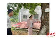 蒋春艳开展二季度巡林、巡田、巡河工作并调研食品安全“两个责任”包保主体工作