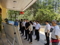 民政部养老服务司赴云溪区调研