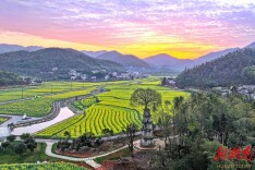 望城茶亭镇：五彩茶亭文旅盛 花香小镇诗意浓