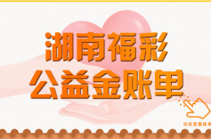 一图读懂｜3年14.2456亿元，湖南福彩公益金账单请查收！