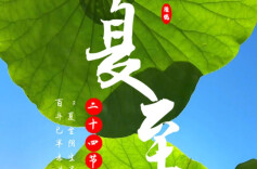 节气里的大美中国丨夏至