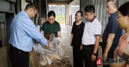 新田县政协来江华调研考察蔬菜出口产业