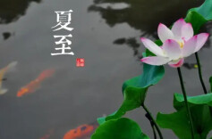 中国3000多年前就确立了这个节气！今天您最想吃哪一碗“夏至面”？