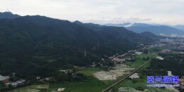 国家二级保护动物黑冠鹃隼落户资兴