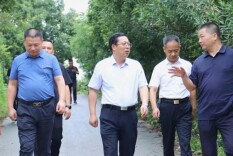 陶伟军到三封寺镇督导应对强降雨天气工作并巡林巡河