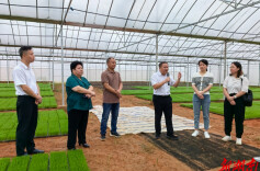 全市粮食生产暨蔬菜产业发展工作现场推进会在道县召开