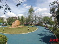 道县：创建森林城市 推进生态向好