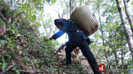 不图钱的百岁瑶医黄兰英