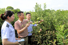 湖南：税惠“春雨”滋润小微企业发展成长