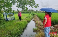 合口镇：深入排查隐患 筑牢“安全防线”