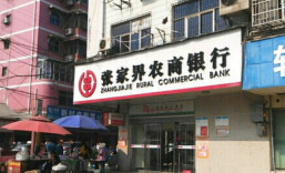 张家界农商银行：为养殖产业添加金融“饲料”