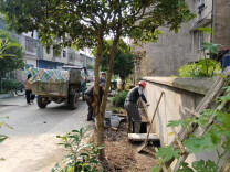 治河渡镇：路面积水惹人烦 热线督办来解难