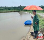 望城街道陈进：我是党员，一喊就到！