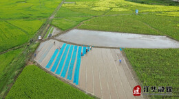 江华大路铺镇：晚稻育秧正当时