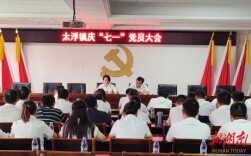 临澧县太浮镇召开庆“七一”党员大会