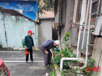 云溪区长岭街道：党员“三长”担使命  筑牢防汛“安全堤”