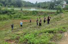 临湘市坦渡镇：“三长”联动，全力筑牢防汛安全堤