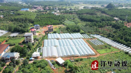 江华：甜蜜丰收季  哈密瓜香满园