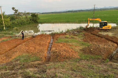 坦渡镇：应急抢险处置快，齐心协力度汛期