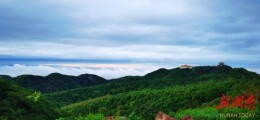 临澧太浮山：连日降雨催生云海仙境